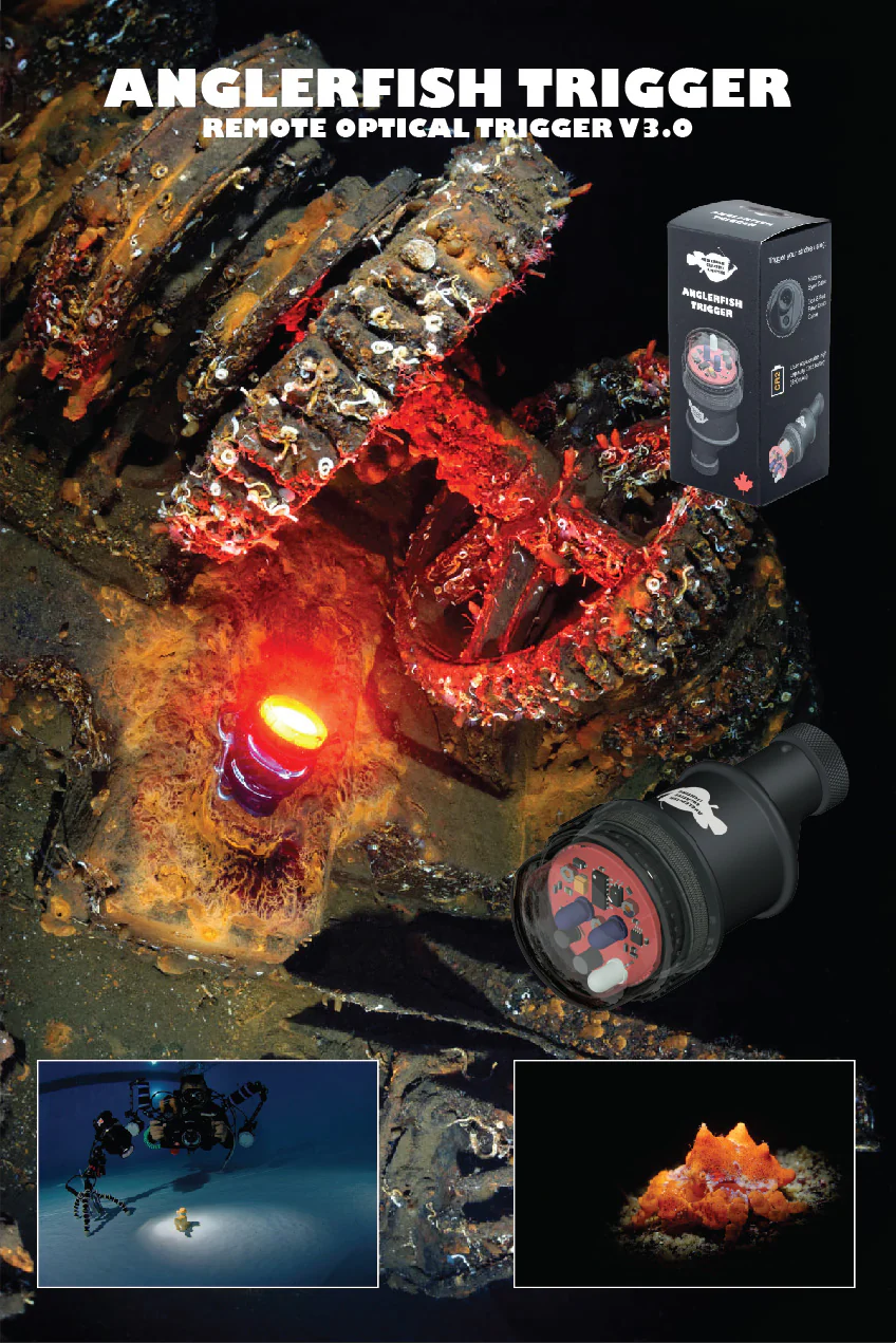 (Discontinued) Anglerfish Remote Trigger V 3.0 - Image 7