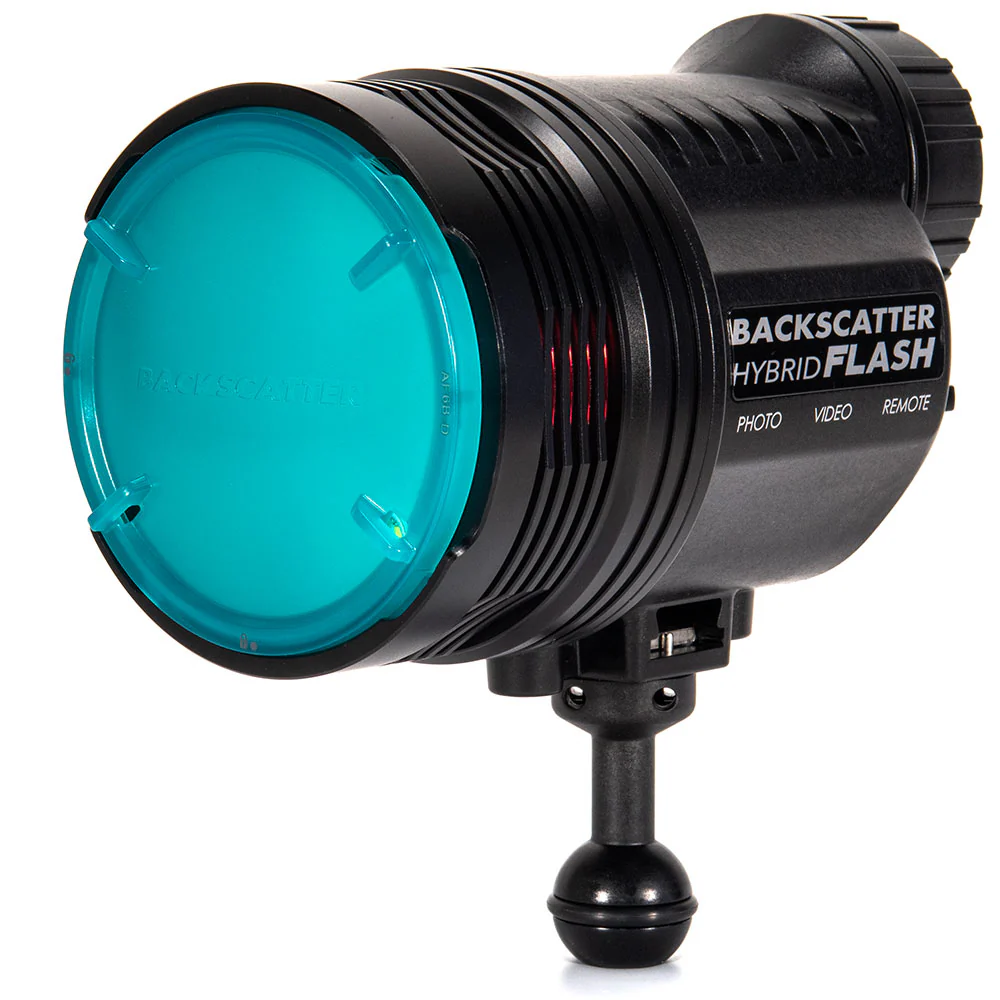 Backscatter HF-1 Ambient Blue Flat Diffuser - Image 2