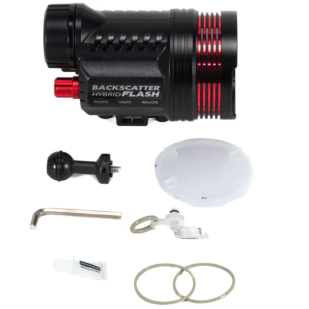 Backscatter Hybrid Flash 1 HF-1 - Image 11
