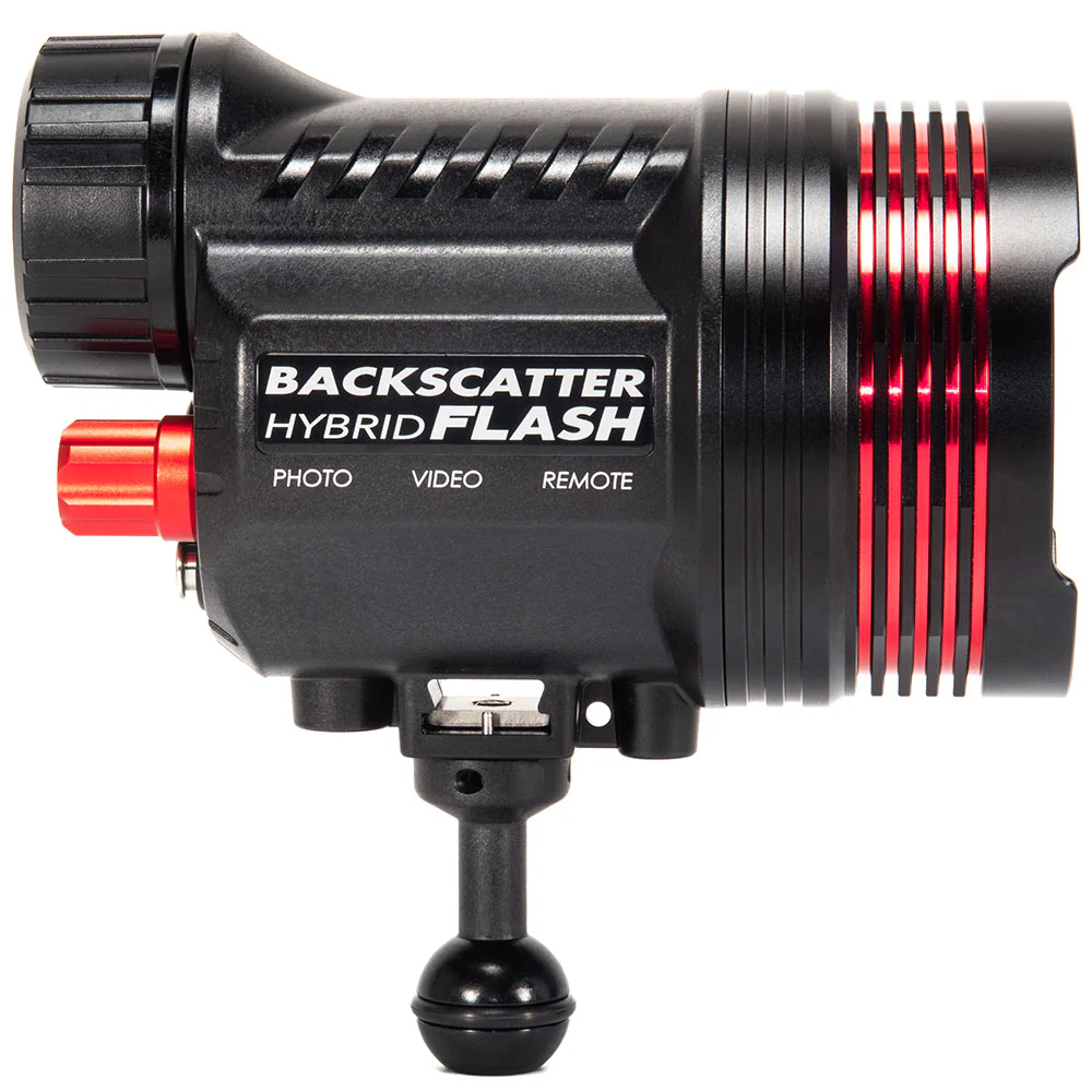 Backscatter Hybrid Flash 1 HF-1 - Image 4