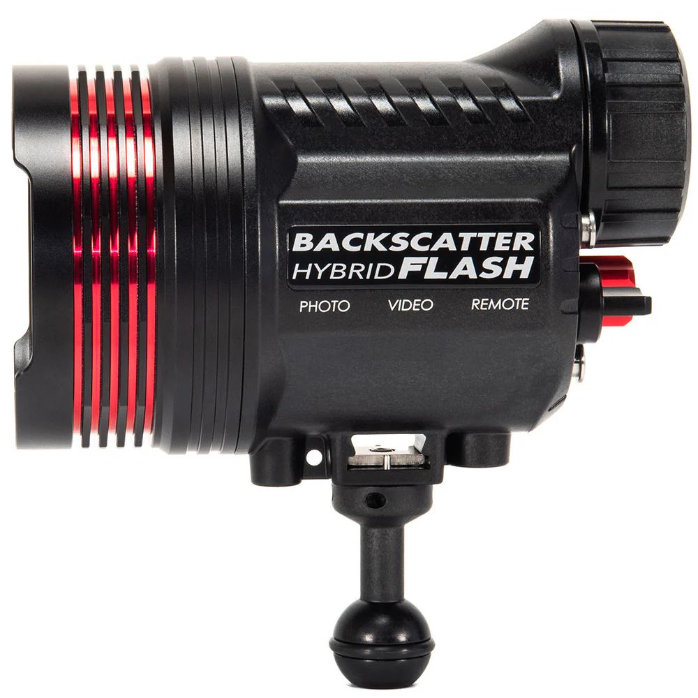 Backscatter Hybrid Flash 1 HF-1 - Image 8