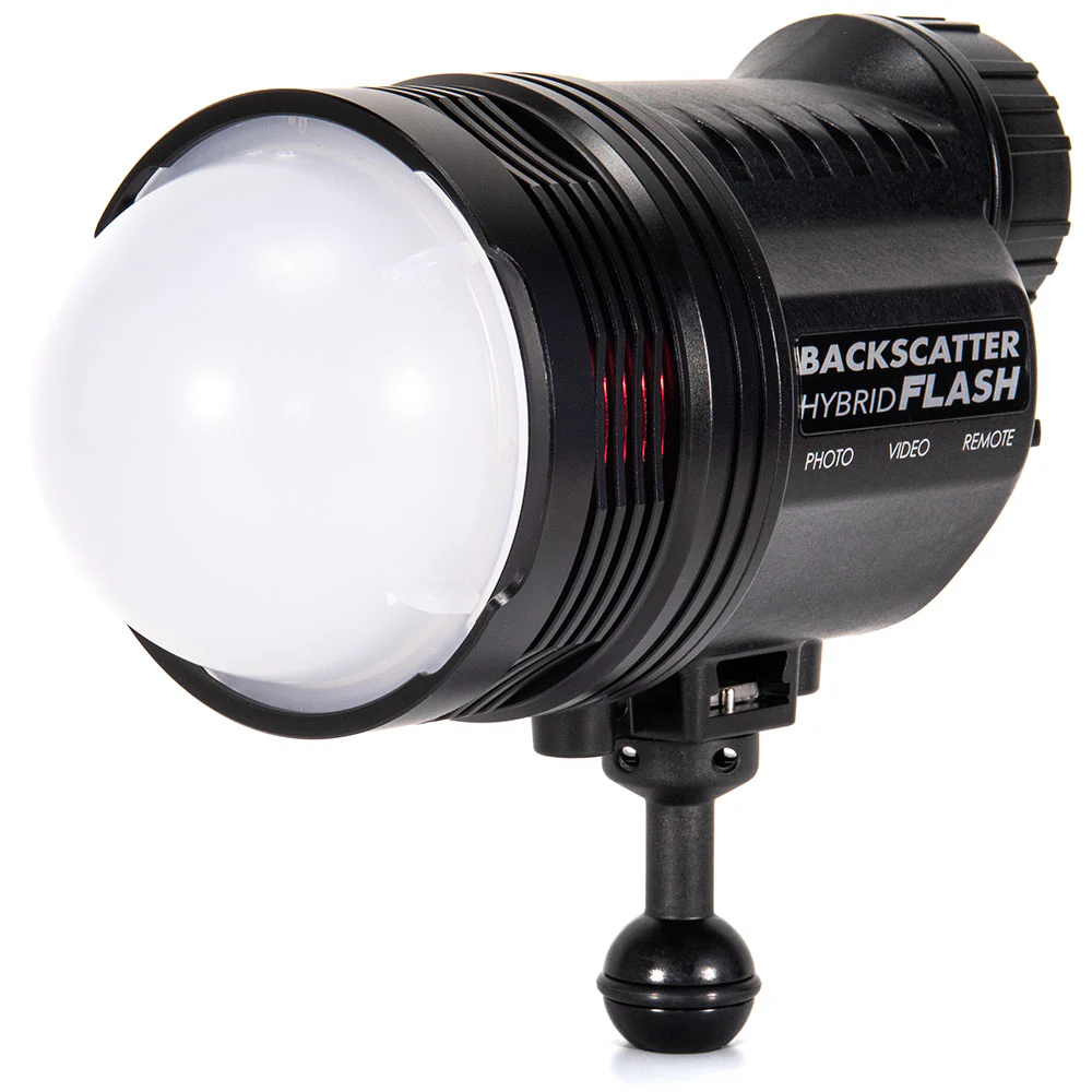 Backscatter Hybrid Flash White 160° Dome Diffuser - Image 2
