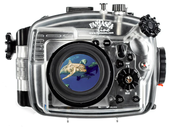 Fantasea UMG-02 LCD Magnifier - Image 2