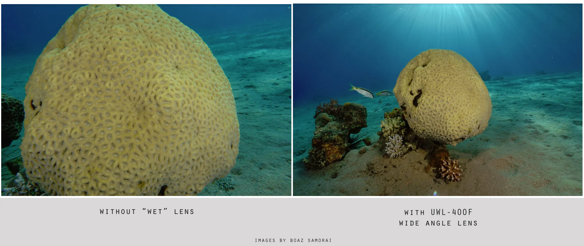 (Discontinued) Fantasea UWL-400F Wide Angle Lens - Image 3