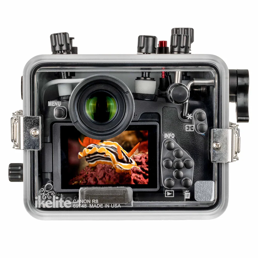Ikelite 200DLM/D Underwater Housing for Canon EOS R8 - Image 2