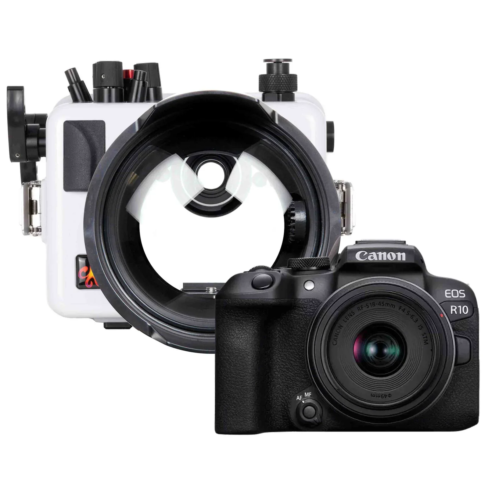 Ikelite 200DLM Underwater Housing for Canon EOS R10 - Image 9