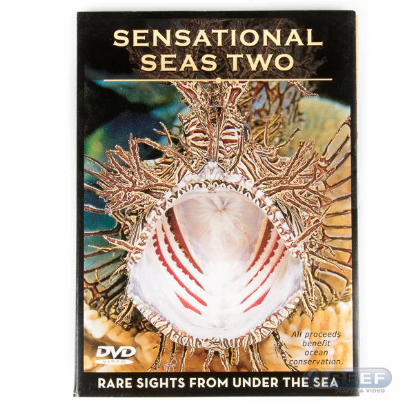 Sensational Sea DVD