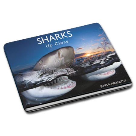 Sharks Up Close” by James Abernethy