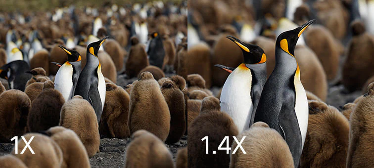 Sony FE 1.4X Teleconverter - Image 8