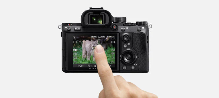 Sony Alpha a7R III Mirrorless Digital Camera (Body Only) - Image 13