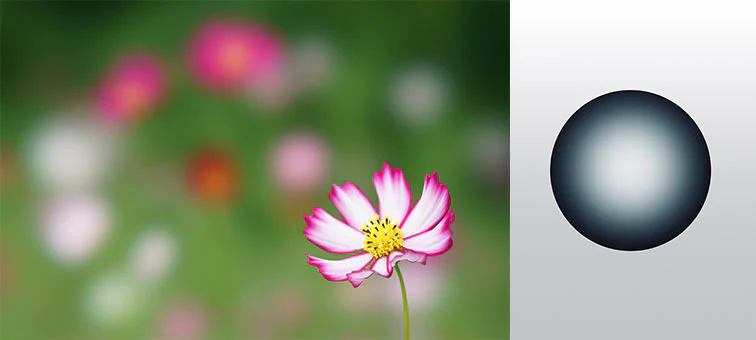Sony FE 100mm f/2.8 STF OSS GM Lens - Image 11