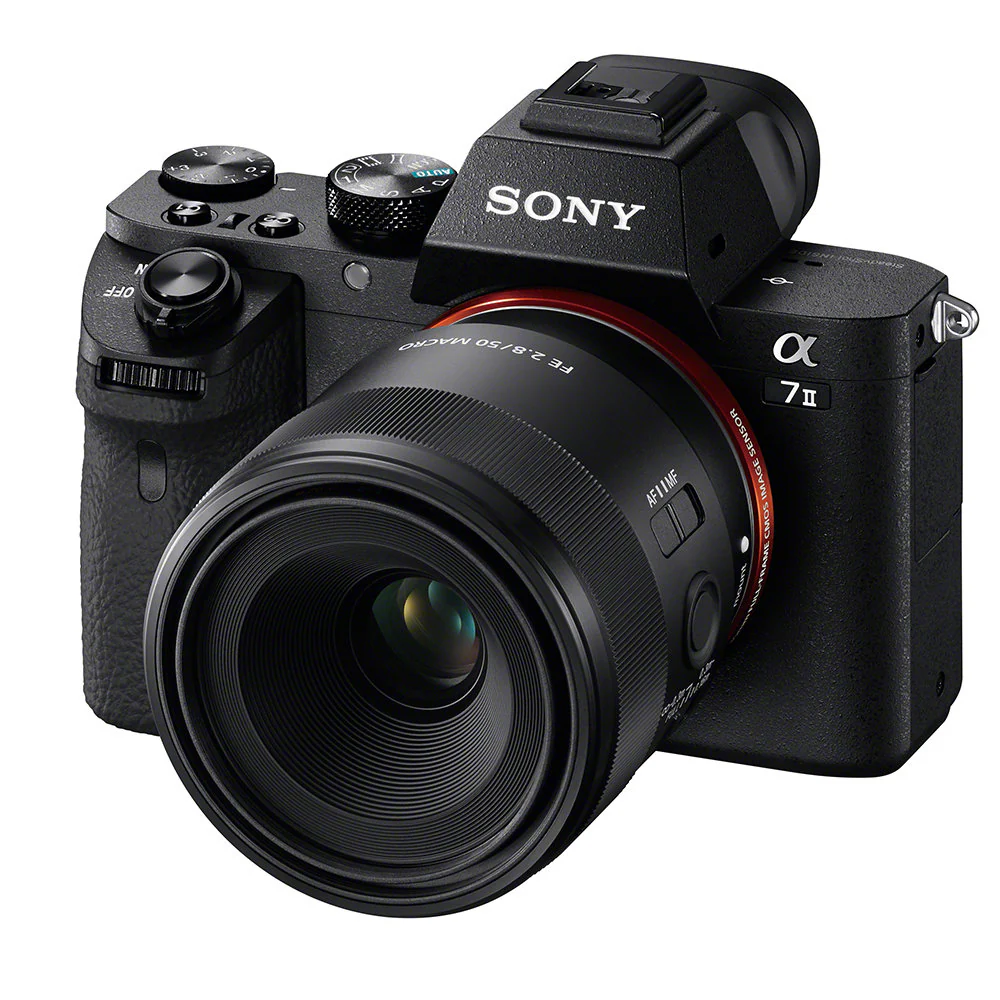 Sony FE 50mm f/2.8 Macro Lens - Image 5