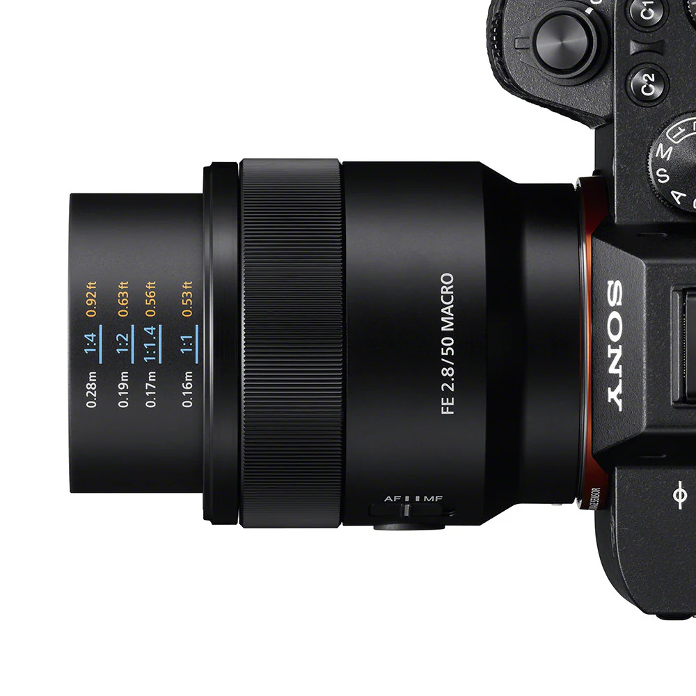 Sony FE 50mm f/2.8 Macro Lens - Image 6