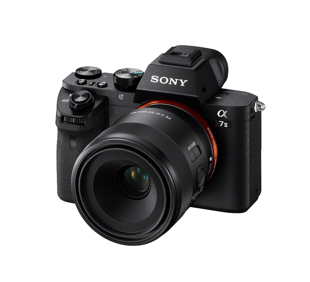 Sony FE 50mm f/2.8 Macro Lens - Image 7