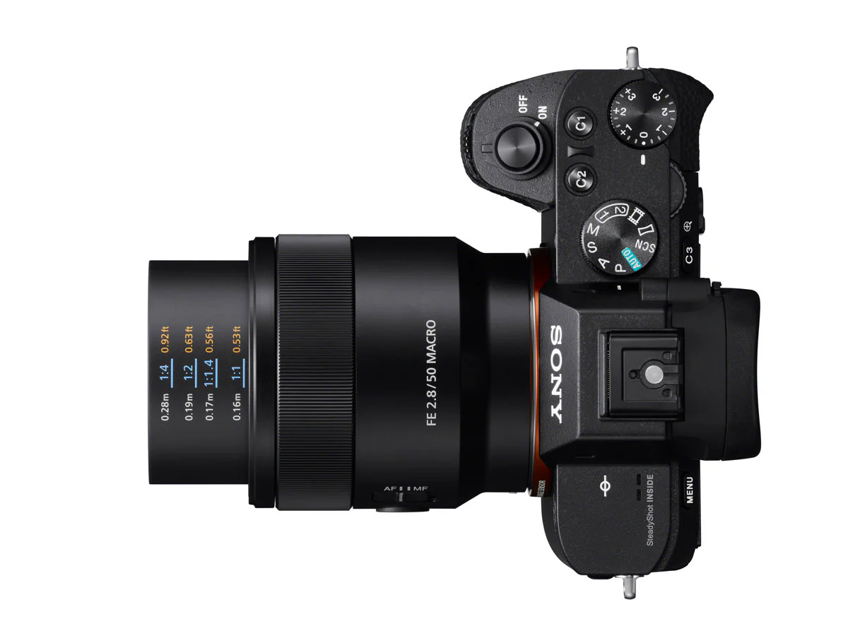 Sony FE 50mm f/2.8 Macro Lens - Image 8