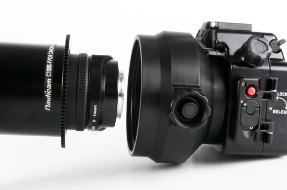 Zen Port for Metabones Adaptors and Canon 100mm Macro Lenses on Sony APS-C Mirrorless Cameras - Image 3