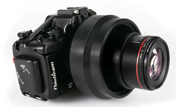 Zen Port for Metabones Adaptors and Canon 100mm Macro Lenses on Sony APS-C Mirrorless Cameras - Image 4